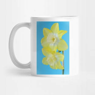 Narcissus  &#39;Pipit&#39;    Division 7 Jonquilla  Daffodil Mug